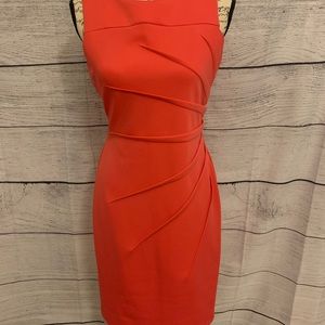 Soft Pink Fitted and Flattering Calvin Klein Dress